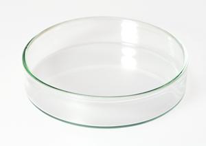 清水区の矯正歯科で受けられる目立たない矯正治療